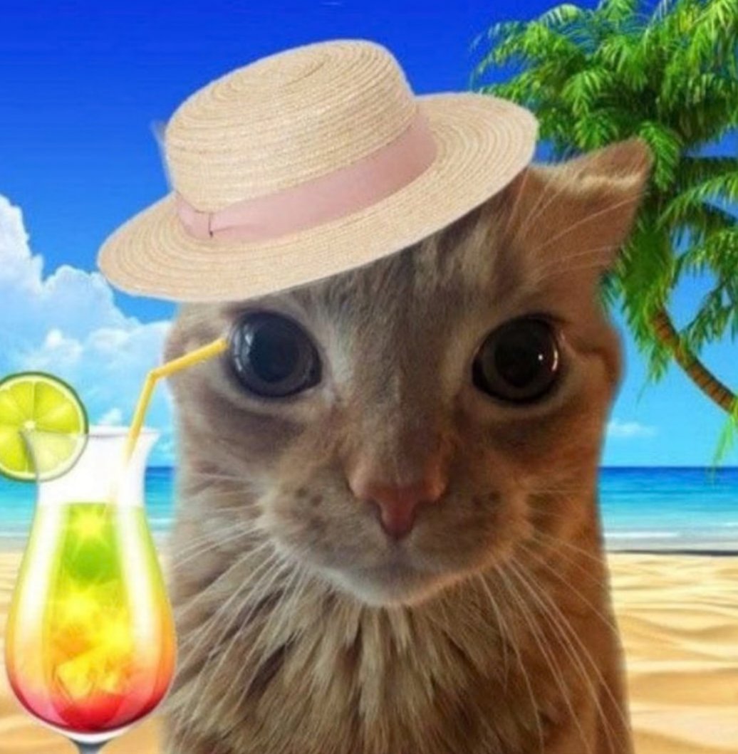 BuffettBucketX's tweet photo. CA: 5pnUCis3xuZks41qtp8VvePugobWrsQJx6VMqBokpump

In just a few seconds, solana:CAXGs7LPuQnUeyqc7izGMjteMAwRtLdaqxLWKuWApump will be launched on https://t.co/uqXy5uje4l https://t.co/Ca1kuBGcsC