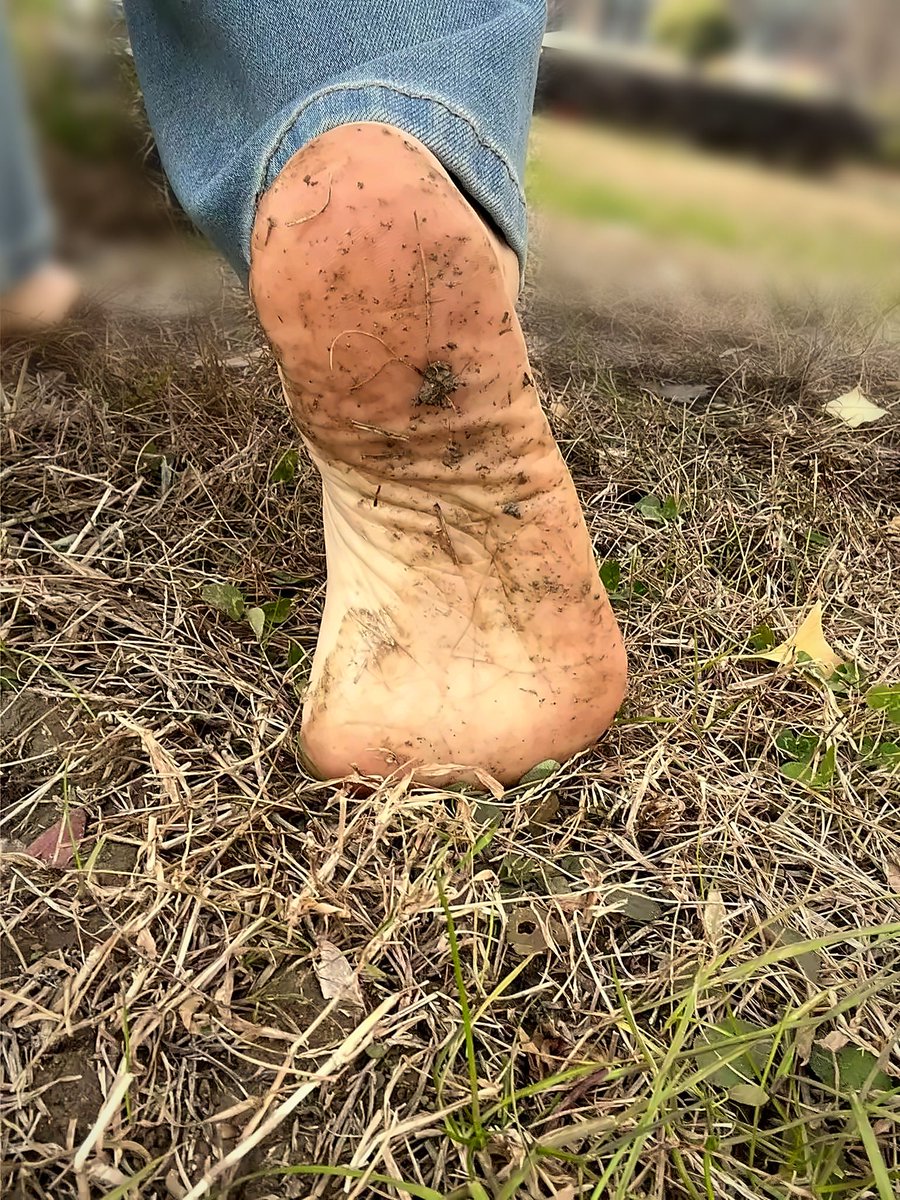 kentwan110's tweet photo. Wearing the earth like a love letter π±π£ Mud on my soles, sunlight on the grass, the fragrance of soil in the air. Is there any feeling more grounding than this? π
#Grounding #EarthingLife #Barefoot #ConnectWithNature https://t.co/FWfZpyNjfr