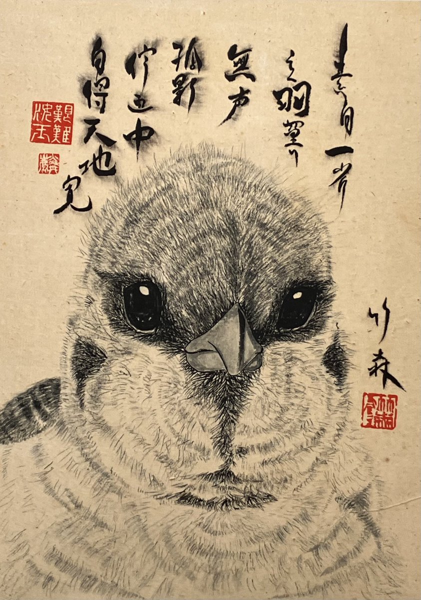 thikumori's tweet photo. スズメ https://t.co/qRJ4NSAJYo
