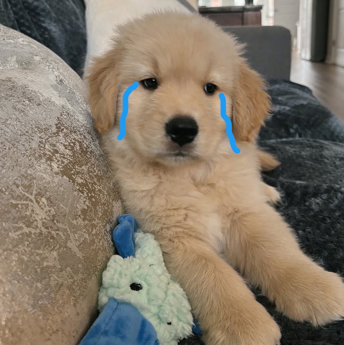 takemybear's tweet photo. คุนแอบจุ้บม๋าตุวอื่นเหรอ พุดมาเหอะ ไม่โกดหรอก (แง้ คนใจล้าย😭) https://t.co/hIXYCVYaWC