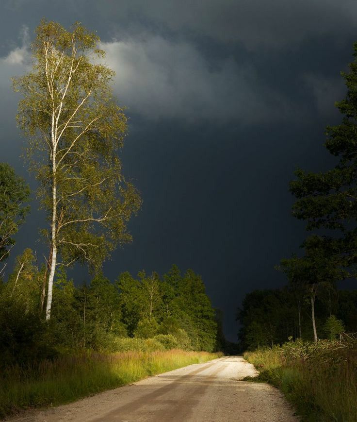 naturehealyou's tweet photo. i love gloomy days https://t.co/9qdQn9C02Y