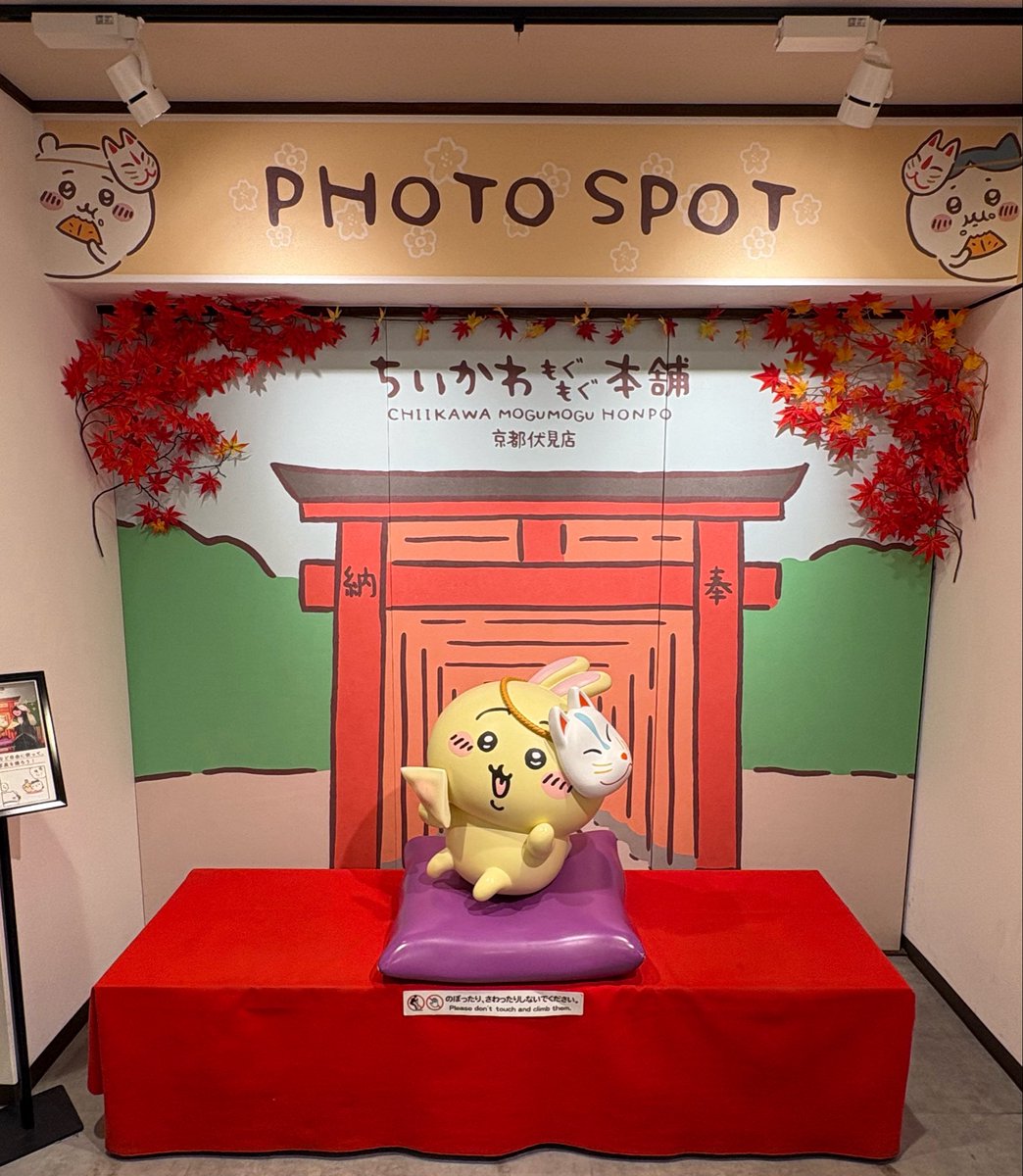usachikb's tweet photo. 昨日のもぐもぐ本舗の写真〜
おいなりうさぎ可愛い🦊🫶🏻

鴨南蛮うどんの美味しさに気づいてしまった✨また食べたい!! https://t.co/T4LvW7WyX7