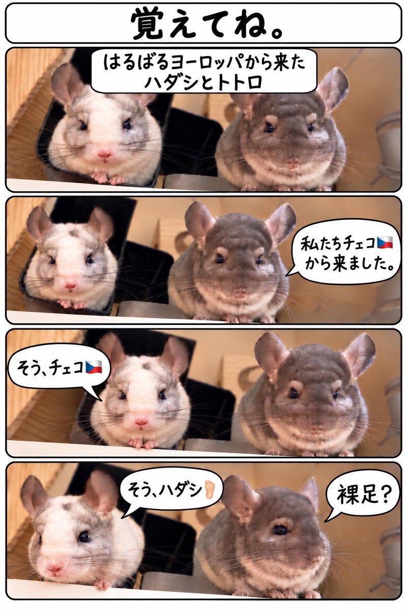 acvooacvoo's tweet photo. 本日もお疲れ様でした✨ https://t.co/SI5IaoOl02