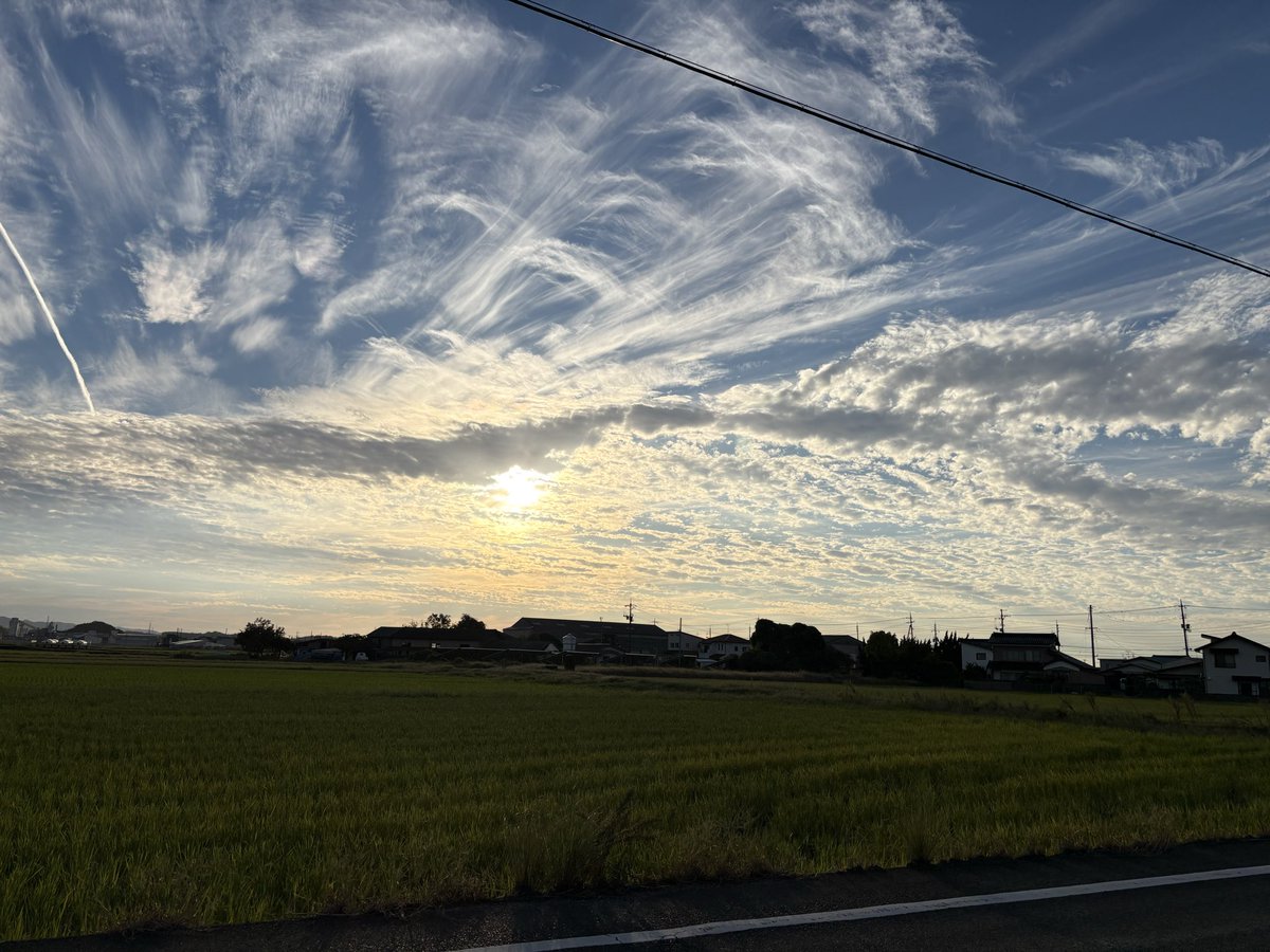 SabiHogoneko's tweet photo. 仕事を終えて帰宅して
昨日の子猫の投稿に、たくさんの反応をいただいていてびっくり。

書いたものを誰かが読んで
何かを感じてくれるって、うれしいね☺️

新しい仕事と生活、4連勤でへとへと。
忙しくてなかなか書く時間はないけれど
やっぱり書くことが好きなんだなぁと
あらためて思った日

#投稿 https://t.co/533LsqWQ6A