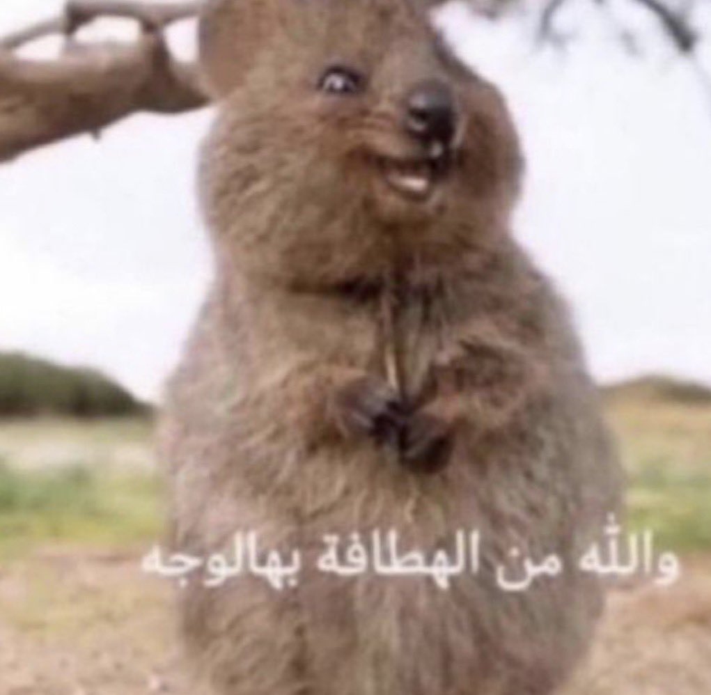 justl1una's tweet photo. الدكتوره اللي اكررههاا واختبارها شرير قالت لي ضيتي علينا لك من اسمك نصيب كبير وانا انبسطت وسامحتها https://t.co/tnxvkctCK6