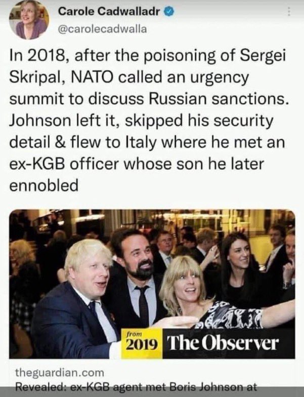 Lettie44's tweet photo. @welshroots The Tories, Farage, Banks, UKIP et al, and of course the media, all colluded to bring Carole down. #RussiaReport #FollowtheRussianMoney https://t.co/QQ4dcoVtii