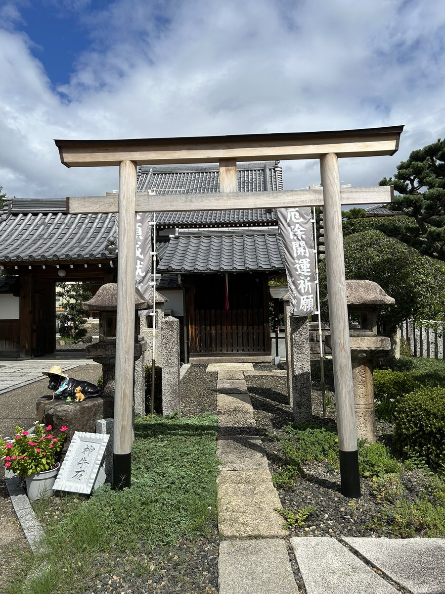 madness2006's tweet photo. 令和8年9月13日
#大松寺
#神牛石神社
#久御山町
#御朱印
#御朱印帳 https://t.co/cBmNyvAYVw