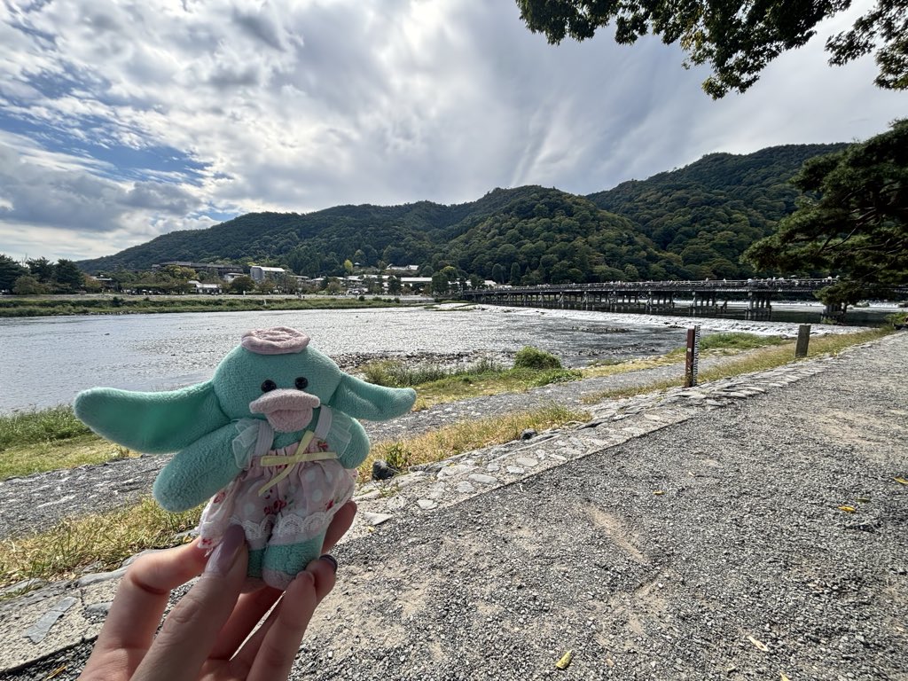 zko385's tweet photo. 燃え尽きた大阪、奈良、京都の旅だった！また来るぜ！帰りまーす！ https://t.co/PVumSZ9w0G