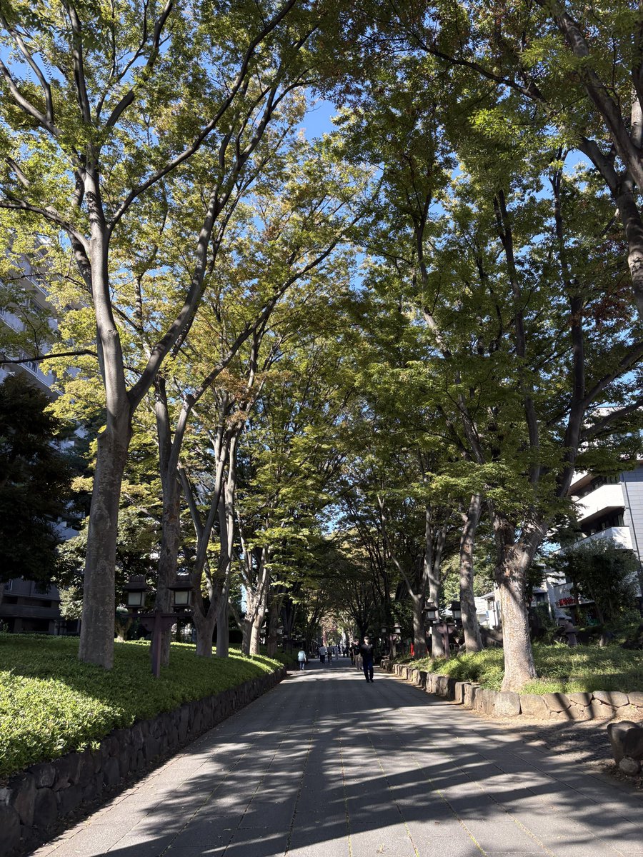 clamenil's tweet photo. 昨日　天気良かった https://t.co/RVj0tckBKb