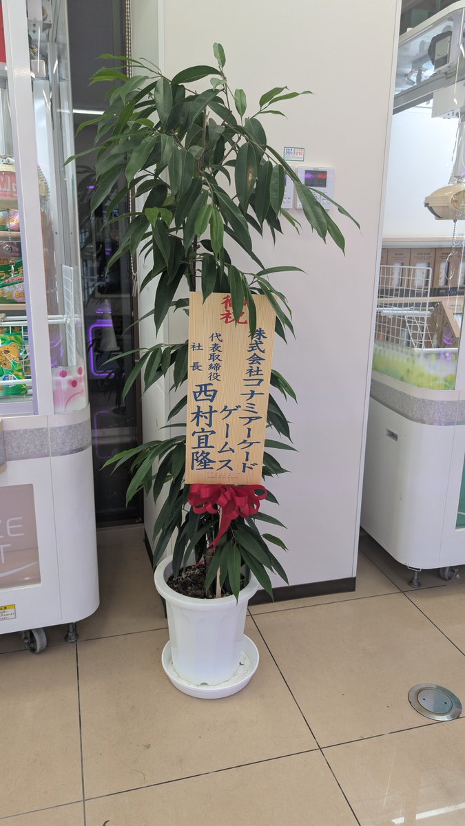 takanori_nochin's tweet photo. 大街道のセブン跡地にクレーンだけのMGが増えてるんだけど、花の中にDJ YOSHITAKAいた https://t.co/JSQQAb6mNi