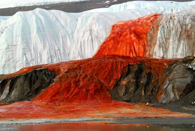 carpenter_corp's tweet photo. Theres blood river in antarctica, that we thought was colored by rare red algae but it's just brine rich in oxidized iron so it is closer to river of blood than any other explanation. https://t.co/XF6QlVSkiX