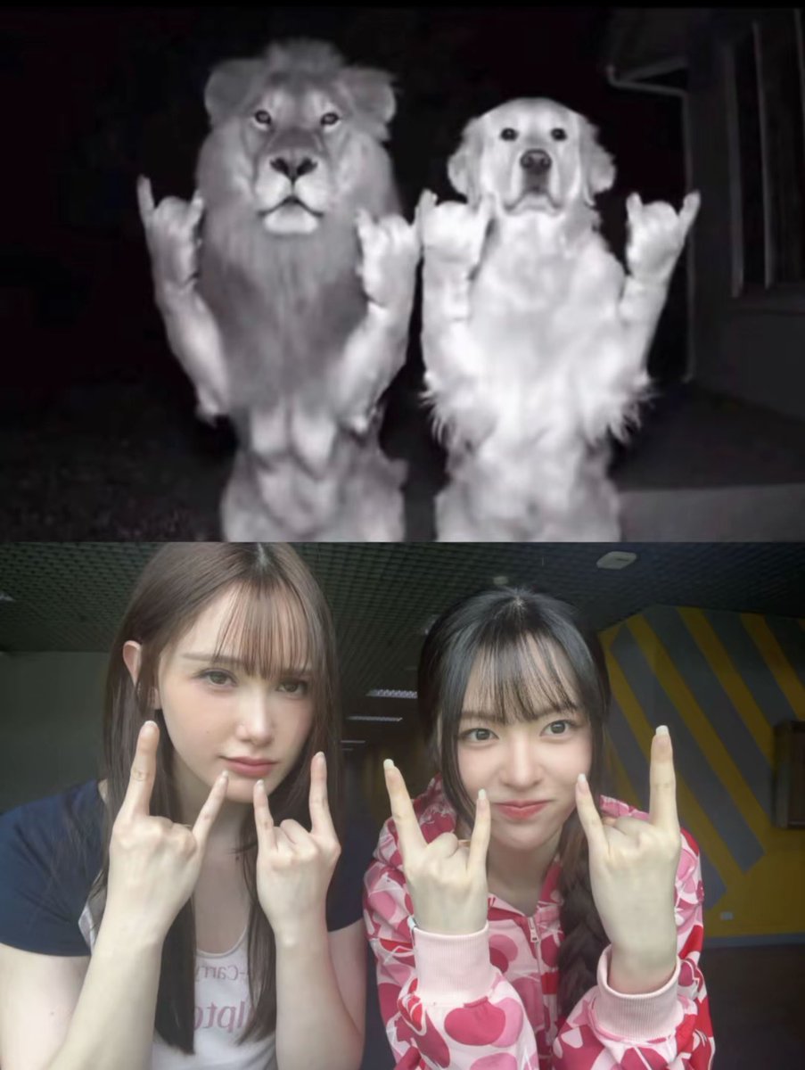 ChariMookBR's tweet photo. ( 111026 | ꨄ︎ #charimook TikTok @ akiimook 2/2 ) https://t.co/geUfvUU8Ch