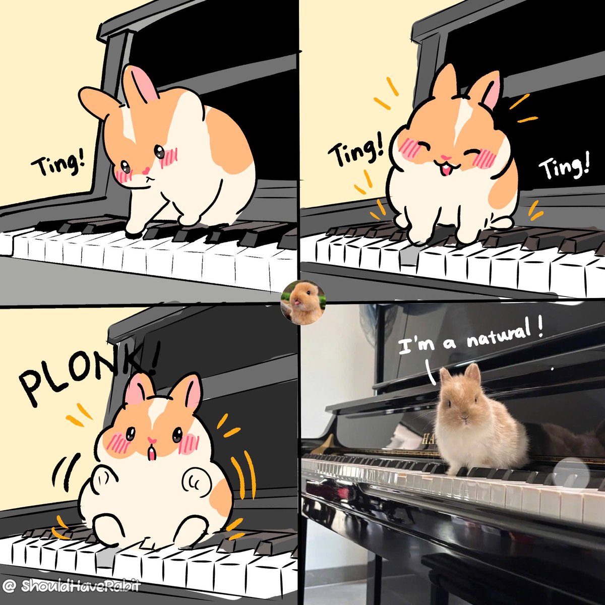 ShouldHaveRabit's tweet photo. And that's my song. https://t.co/WW4WnGk1DR