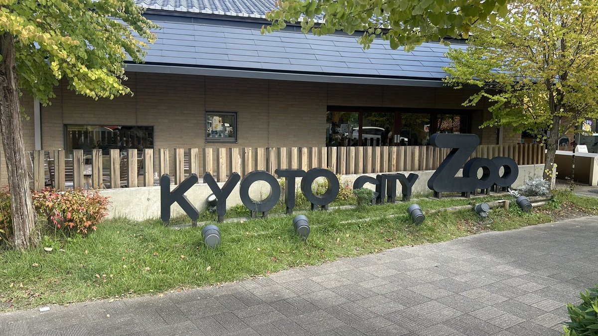 gn1526910's tweet photo. 先週行ったZOO。自分は🐧と🦒と🐘が好きです https://t.co/1qD64dSEfb