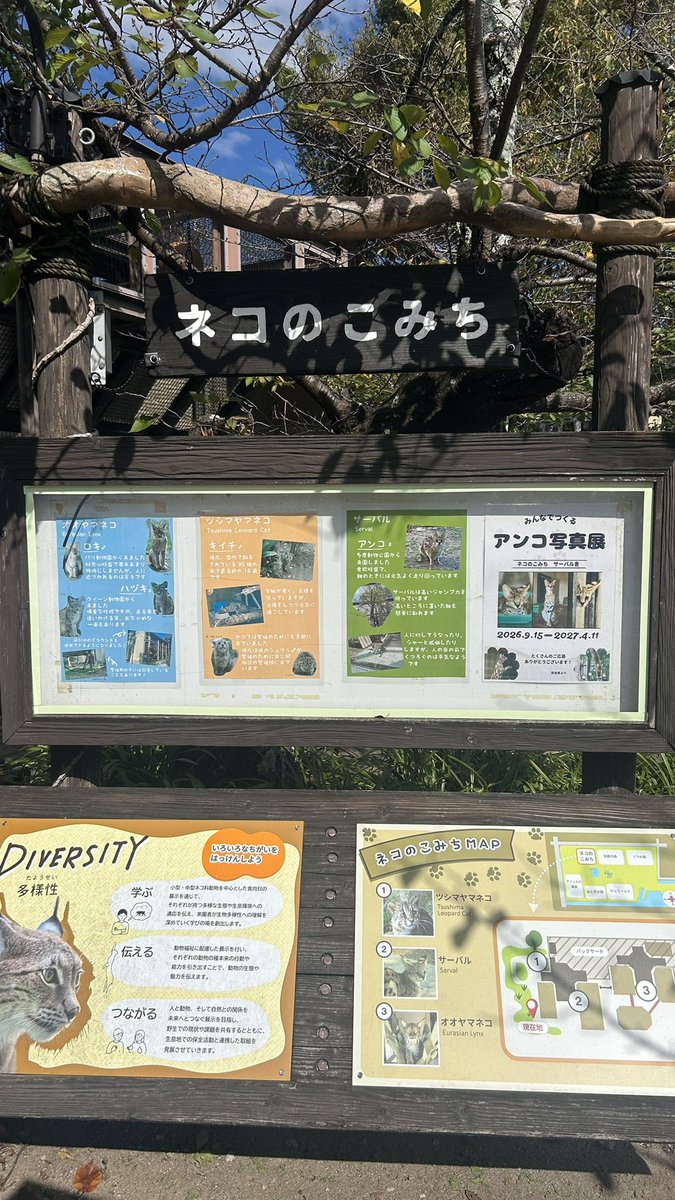gn1526910's tweet photo. 先週行ったZOO。自分は🐧と🦒と🐘が好きです https://t.co/1qD64dSEfb