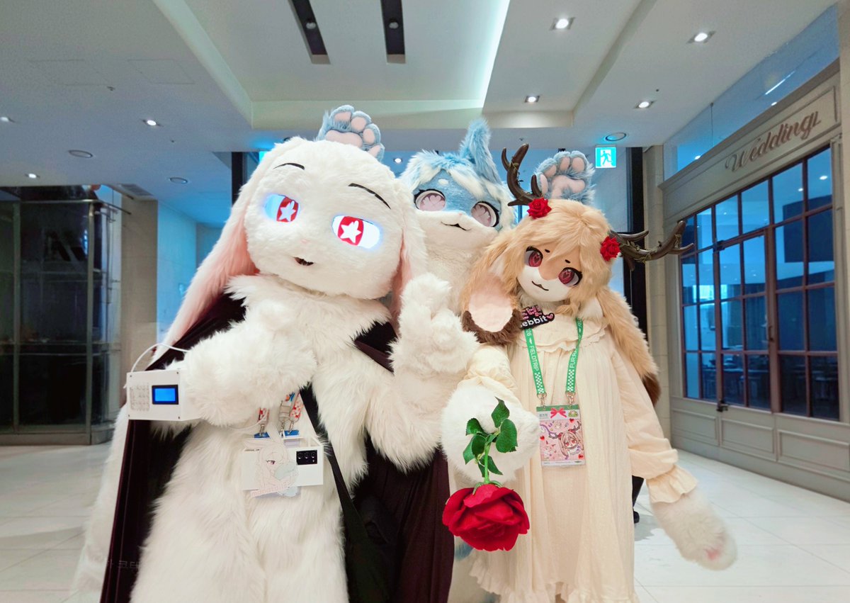 rosebbit's tweet photo. 。₍ᐢ..ᐢ₎♡₍ᐢ..ᐢ₎。
바니바니 바니바니
🤍 @manatails
🩵 @Lv_Delta
🌹 @rosebbit
📸 @mochifox93
#furry #fursuit #fursuiteveryday
#Furraid #Furraid2026 #퍼레이드2026 https://t.co/gIdTVp3oZE