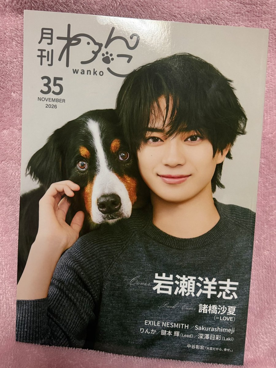 rnk__1028's tweet photo. 『月刊わんこvoI.35』りんかちゃんの掲載
本当にありがとうございます🩷🩷😭

インタビューも盛りだくさんでみそりんのお話がたくさん聞けて嬉しかった~(*>ᴗ<*)

 #月刊わんこ  #りんか  #みそ https://t.co/qYz7HHW2S0