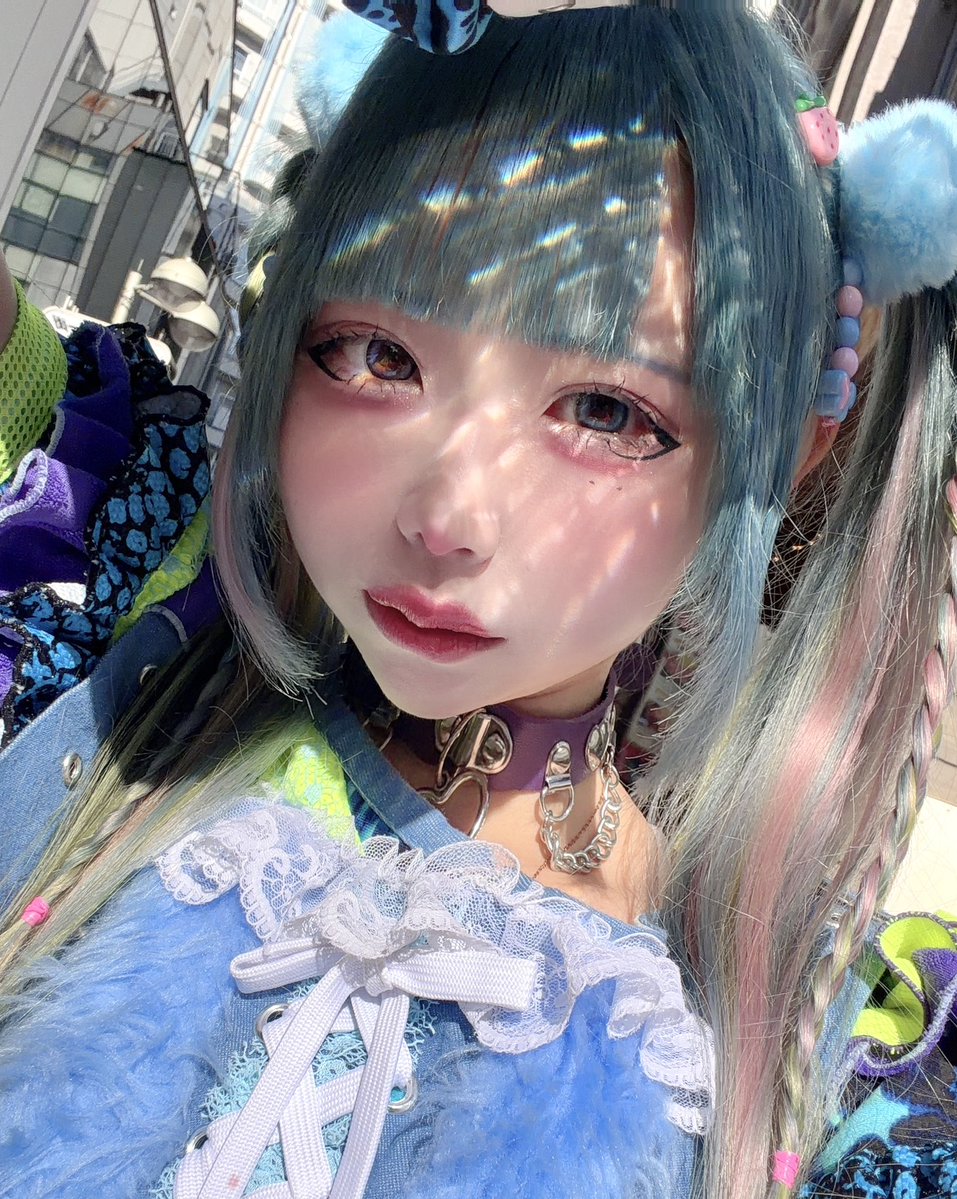 meow_nme's tweet photo. 日光浴びたらフォトジェニックになった https://t.co/43aO1eBgO5