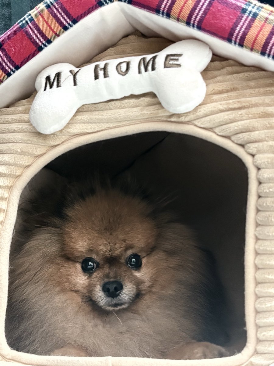 DrasticBlue's tweet photo. 引きこもり🐾 https://t.co/Efc0WcXX8k