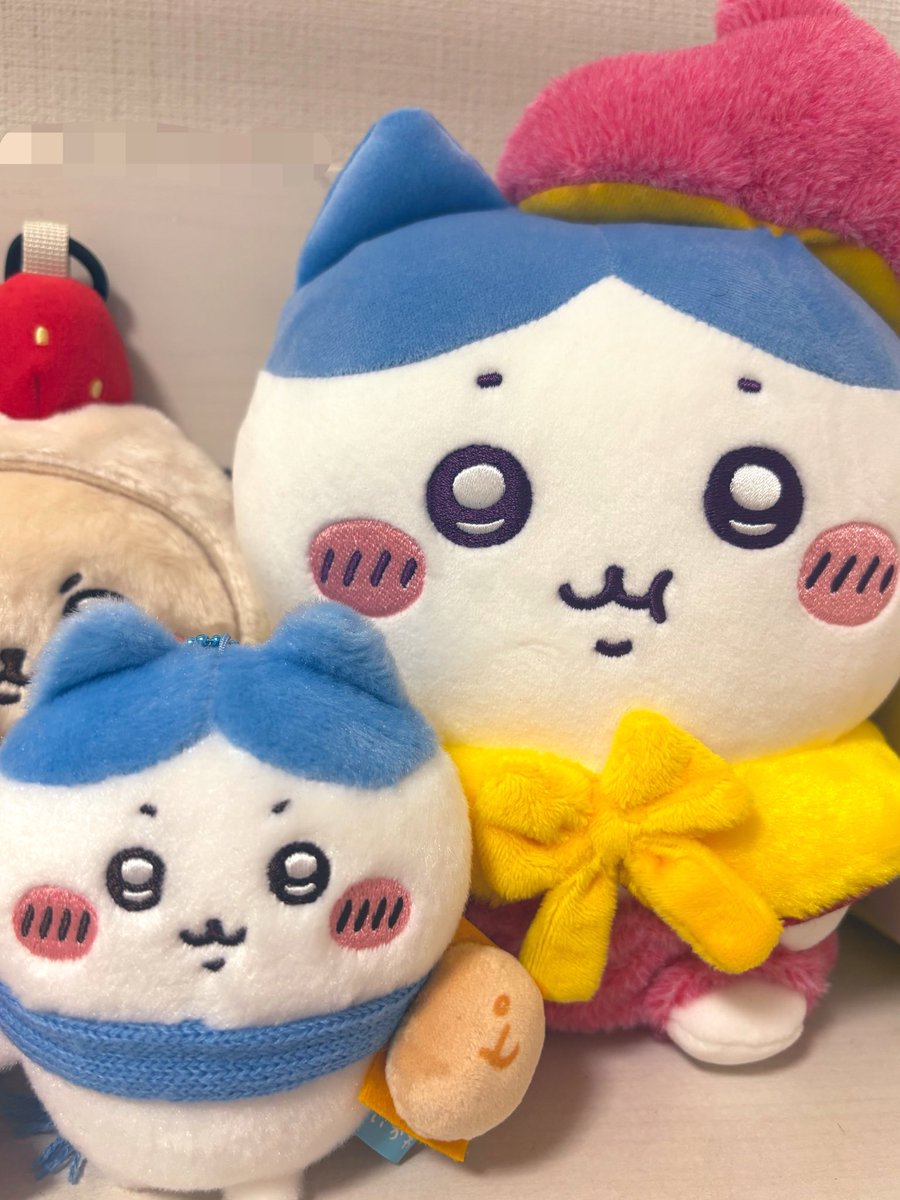 Amjonek013's tweet photo. グルメなハチワレシリーズ(⌒▽⌒)
ラコ先生チラ見🍓 https://t.co/VqwMEetNn6