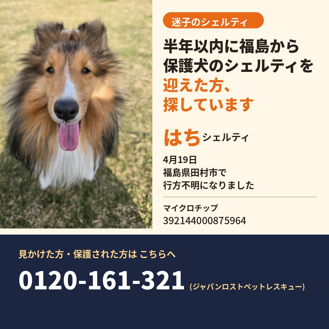 otoallyhachi tweet picture