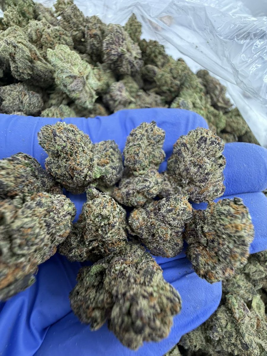 budpuffbox11021's tweet photo. DEAL OF THE DAY 💣

Last 4 Black ice ⛽

11 lbs $2000🔥

done miss out on this deal an triple up ur bread 🍞 

CONTACT https://t.co/nW6VAU52dP NOW BE4 U HEAR SOLD OUT. https://t.co/d1azRPK01y