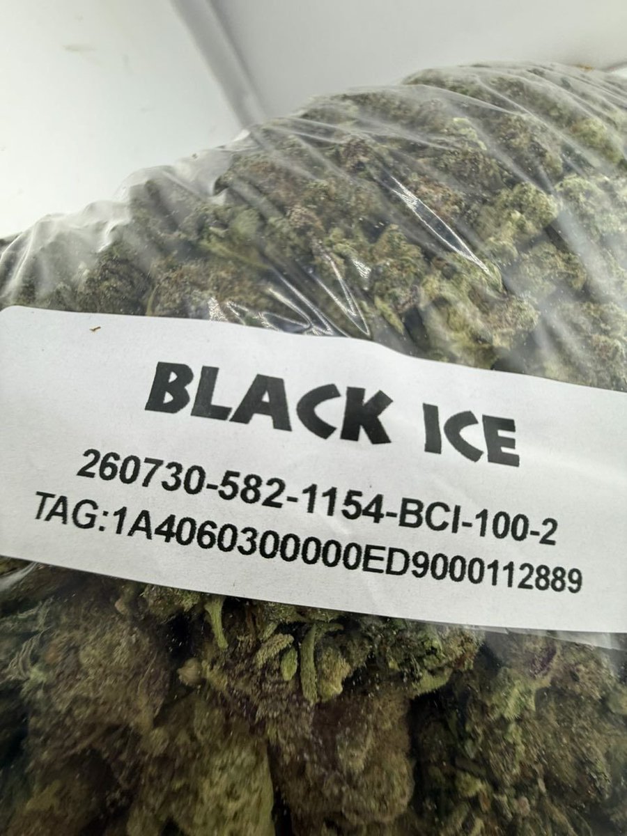 budpuffbox11021's tweet photo. DEAL OF THE DAY 💣

Last 4 Black ice ⛽

11 lbs $2000🔥

done miss out on this deal an triple up ur bread 🍞 

CONTACT https://t.co/nW6VAU52dP NOW BE4 U HEAR SOLD OUT. https://t.co/d1azRPK01y
