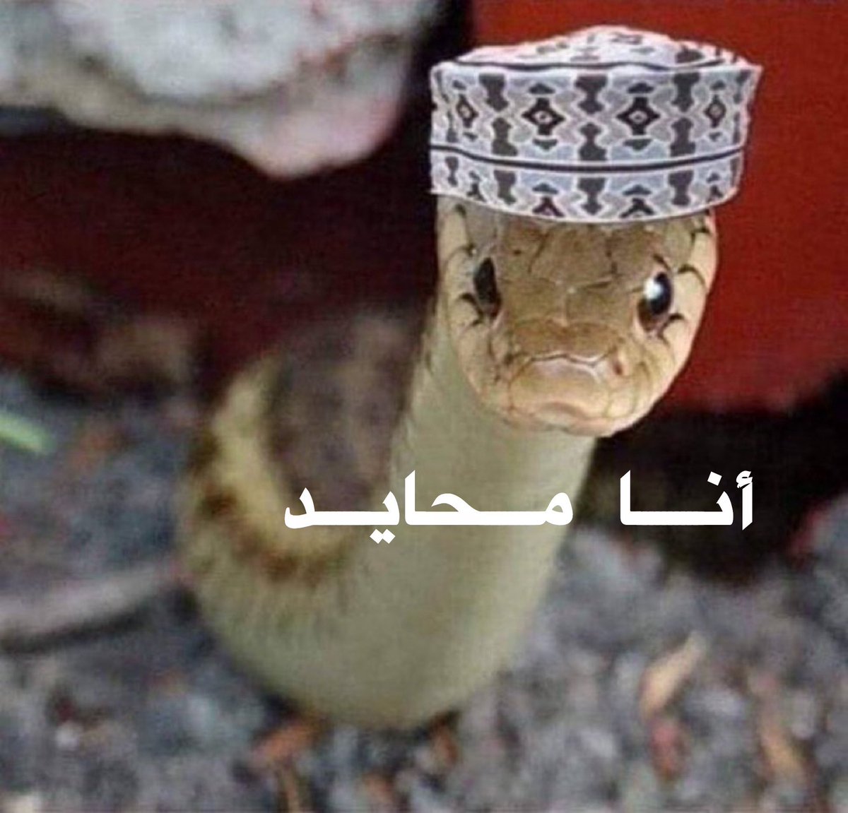 Ax81x's tweet photo. تخيل اخاف من اي حد ينتمي ل #عمان 🇴🇲😂 https://t.co/IaCK4FNRnj