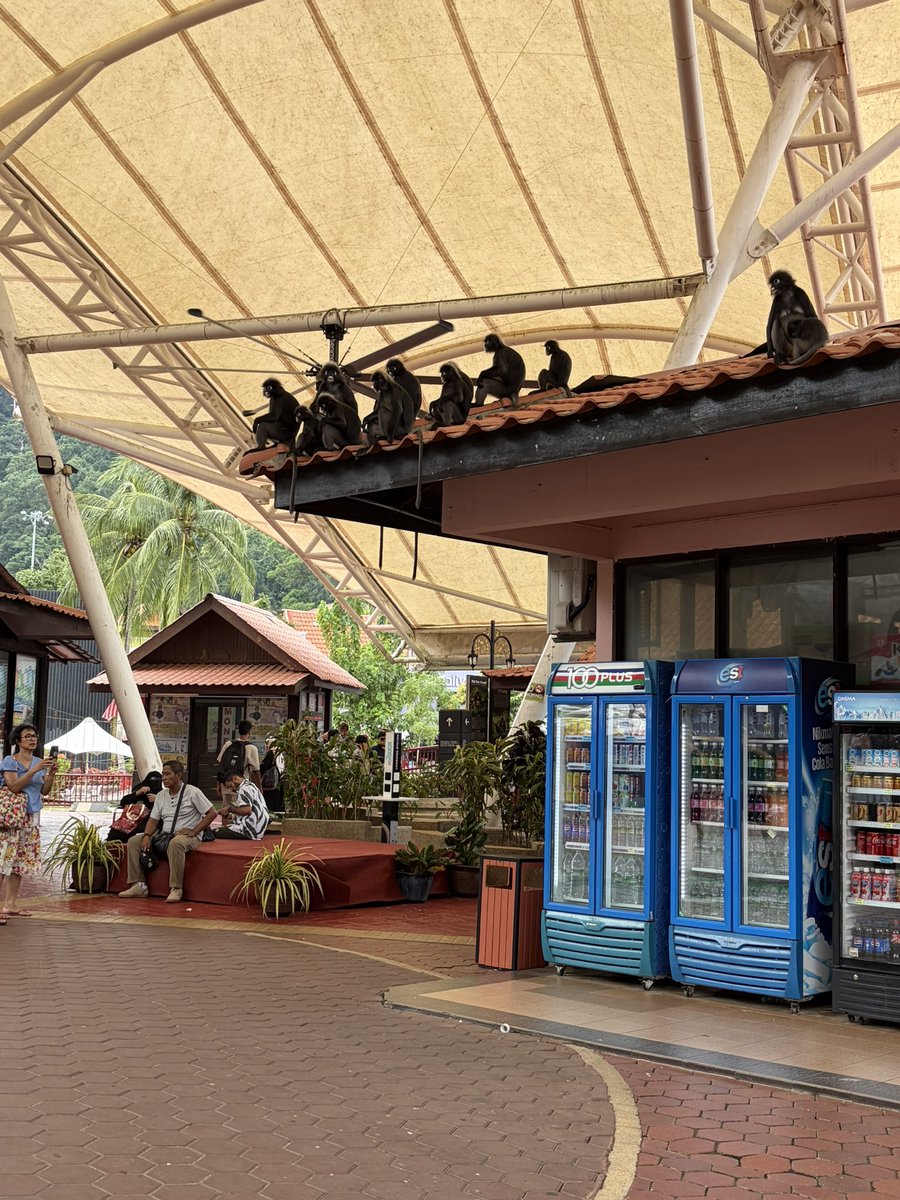 irykbc's tweet photo. Genre langkawi…?????  J’y retournerais tous les ans si il faut https://t.co/TceLH9SHJN