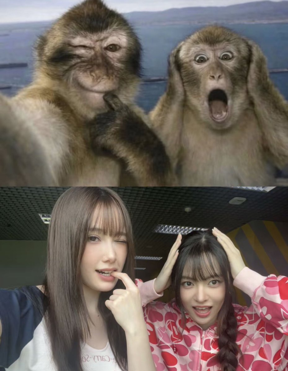 ChariMookBR's tweet photo. ( 121026 | ꨄ︎ #charimook TikTok @ akiimook 1/2 ) https://t.co/gF7zOw7iTh