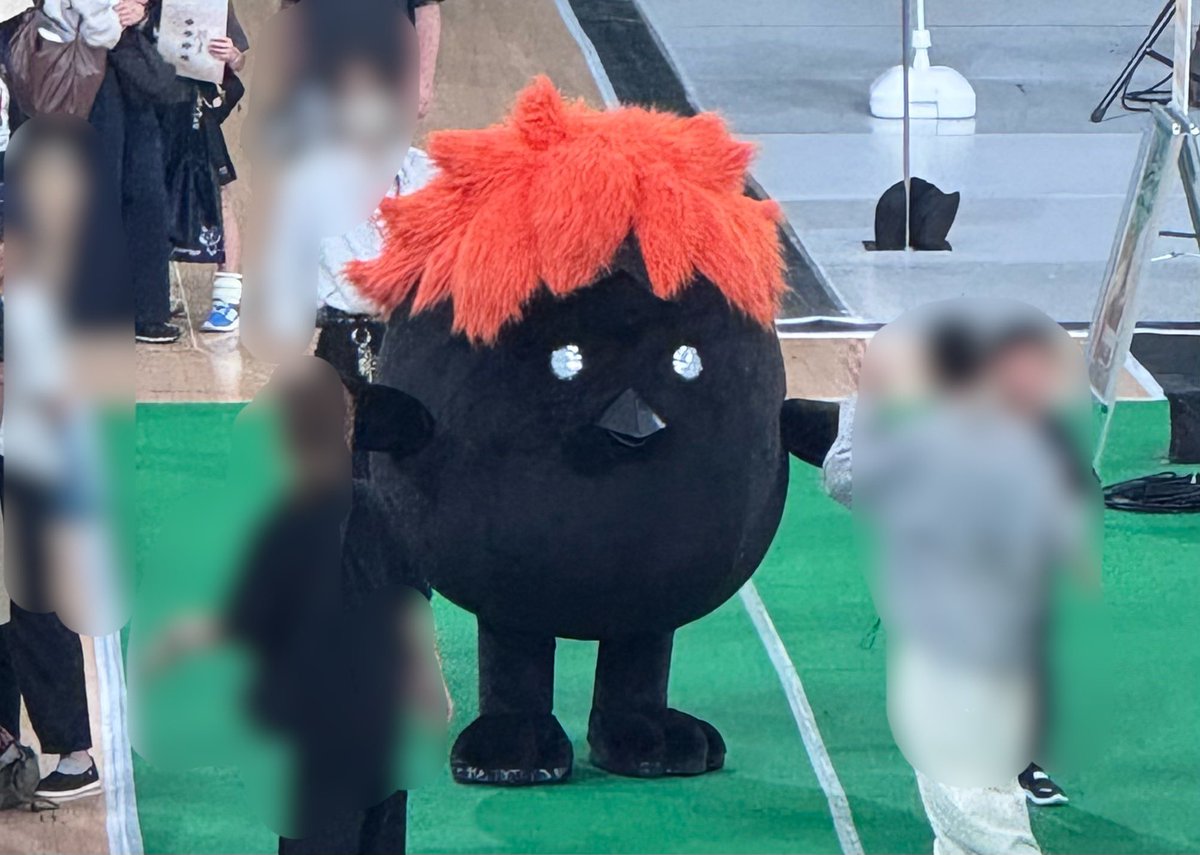 miwami02's tweet photo. SUSIEくんバルーンと、
かなり遠くから撮ったヒナガラスと、
大西ライオン https://t.co/S4AdusHM6w