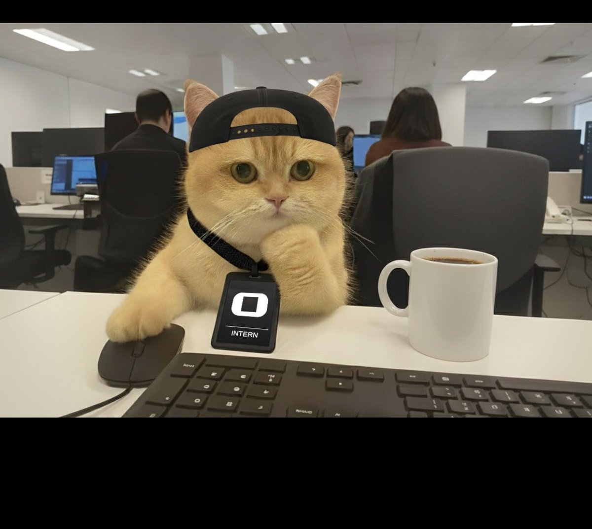 Onchain_guyy's tweet photo. Wormhole cat 
$wcat
This should be the first runner for wormhole https://t.co/b66iXWyvoO
