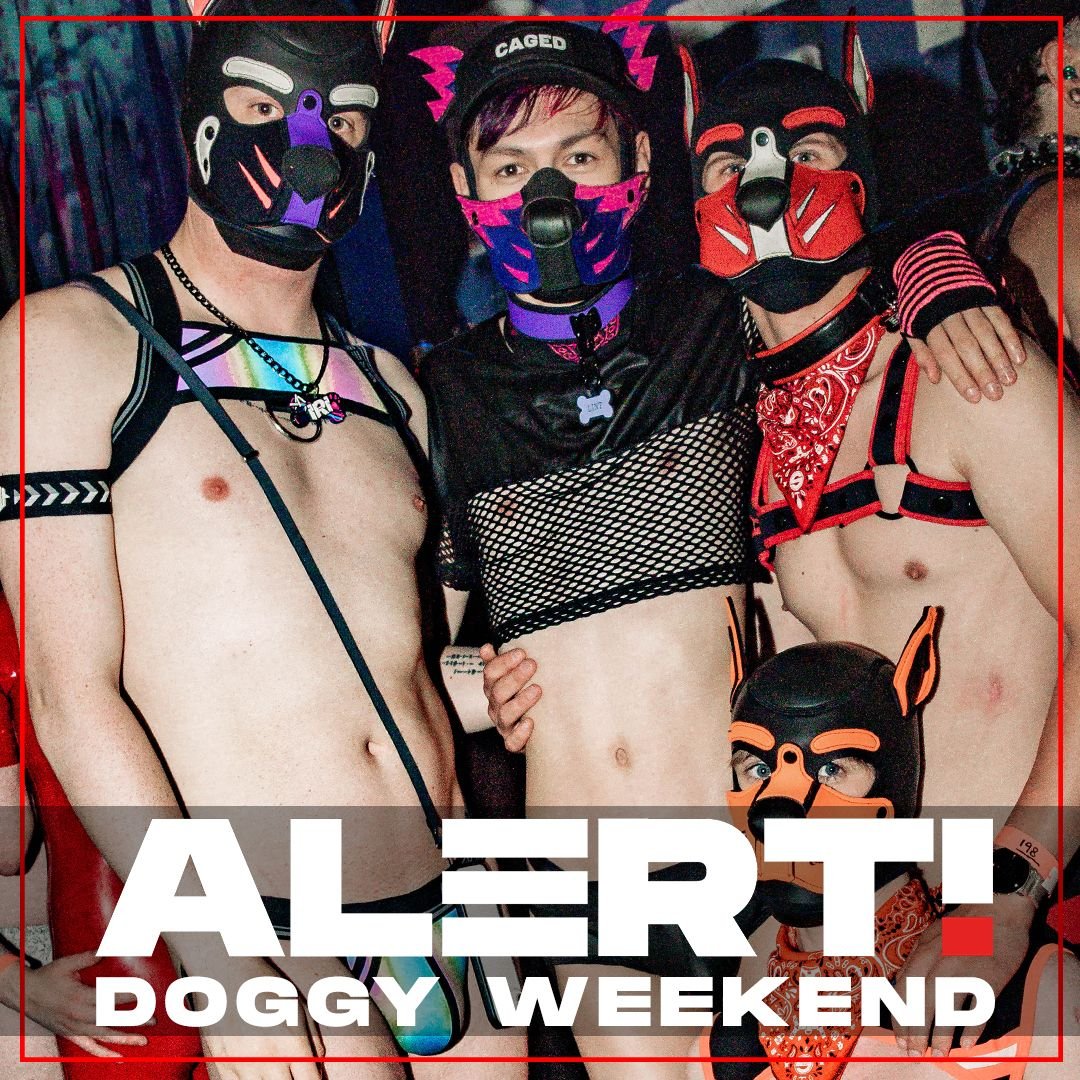 ClubAlert's tweet photo. ❗️❗️❗️🎟 TICKET WARNING 🎟 ❗️❗️❗️

These are about to go... don't miss out

50% off for DW wristband holders...

https://t.co/aUZ4bhhrIj https://t.co/Ygsj8AvuCn