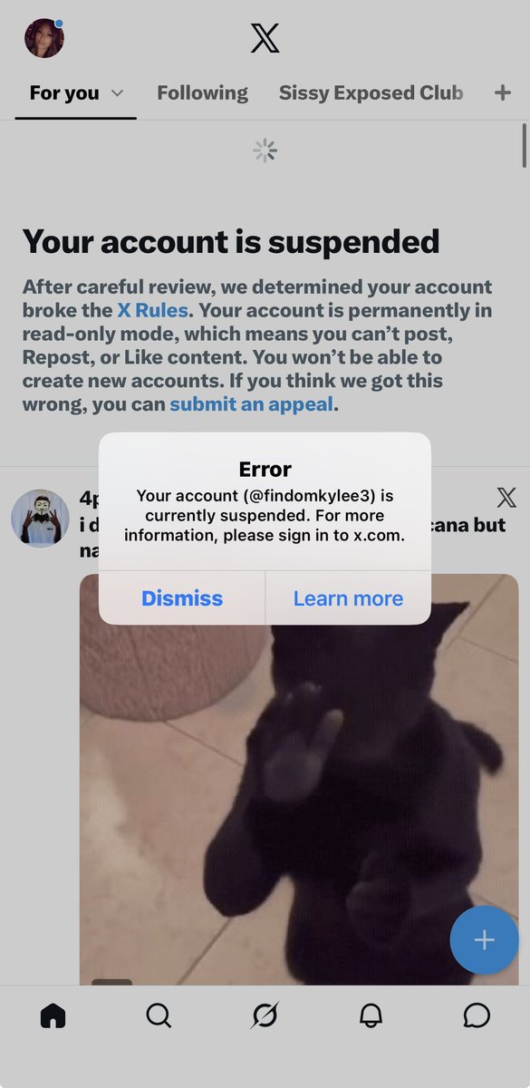 findomkaylee3's tweet photo. Old acc suspended @ 500 followers😒 ..🚨‼️

You cucks have been disturbing me for a verification video...
No fucking excuses now. approach correctly💵
findom findomuk paypig humanatm brat humiliation homewrecker blackmail assworship spit fart feet fetish cuckold cei cbt joi sph https://t.co/6twzmL9GKl