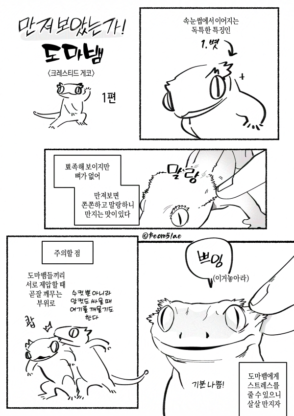 Beom5lae's tweet photo. 도마뱀 만져보기 1 https://t.co/9Kipcyq88k