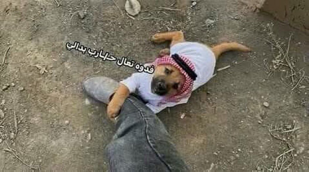 Hashem288450371's tweet photo. @SaudiNews50 حال السعودي كل يوم https://t.co/O1irNx4Wwe