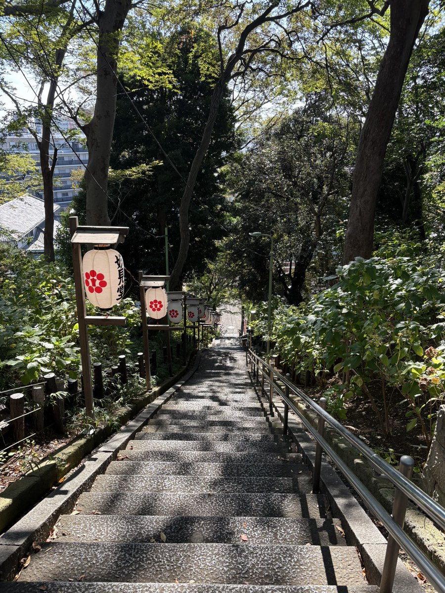motoko_mab's tweet photo. 今日は久しぶりの池上散歩。御会式の準備真っ最中。
4枚目は養源寺の上から蒲田方面を臨む風景。真ん中を流れる呑川。風が心地よかったです。 https://t.co/PJo0ixxO0U