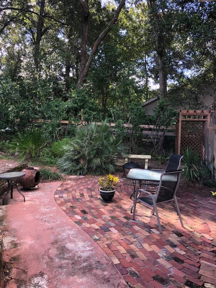1Nicdar's tweet photo. Nothing beats the spectacular colors of fall foliage in Florida. 

Check it out. ⬇️ https://t.co/pmpayTddMz