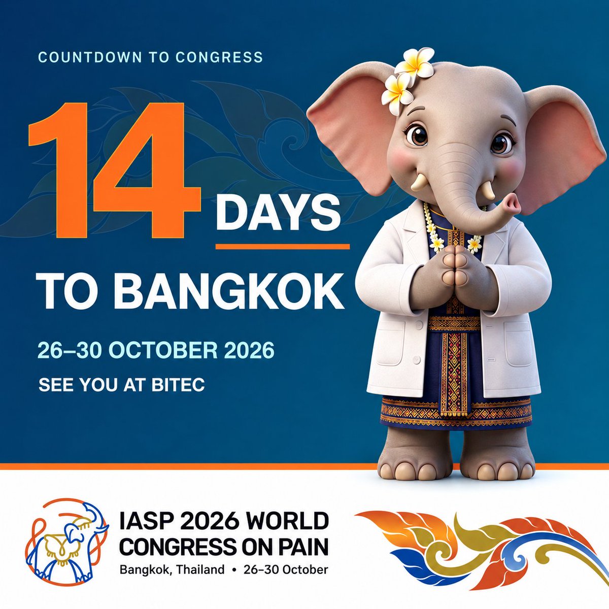 PAINthejournal's tweet photo. 14 days to Bangkok. Past attendees: What is one piece of advice or one must-do you would share with a first-time attendee? Explore #WC2026: https://t.co/7IkfDuSm4L #PainScience https://t.co/m0S7Depfzu