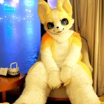 Photo by 雪梨 (@NoremFox)