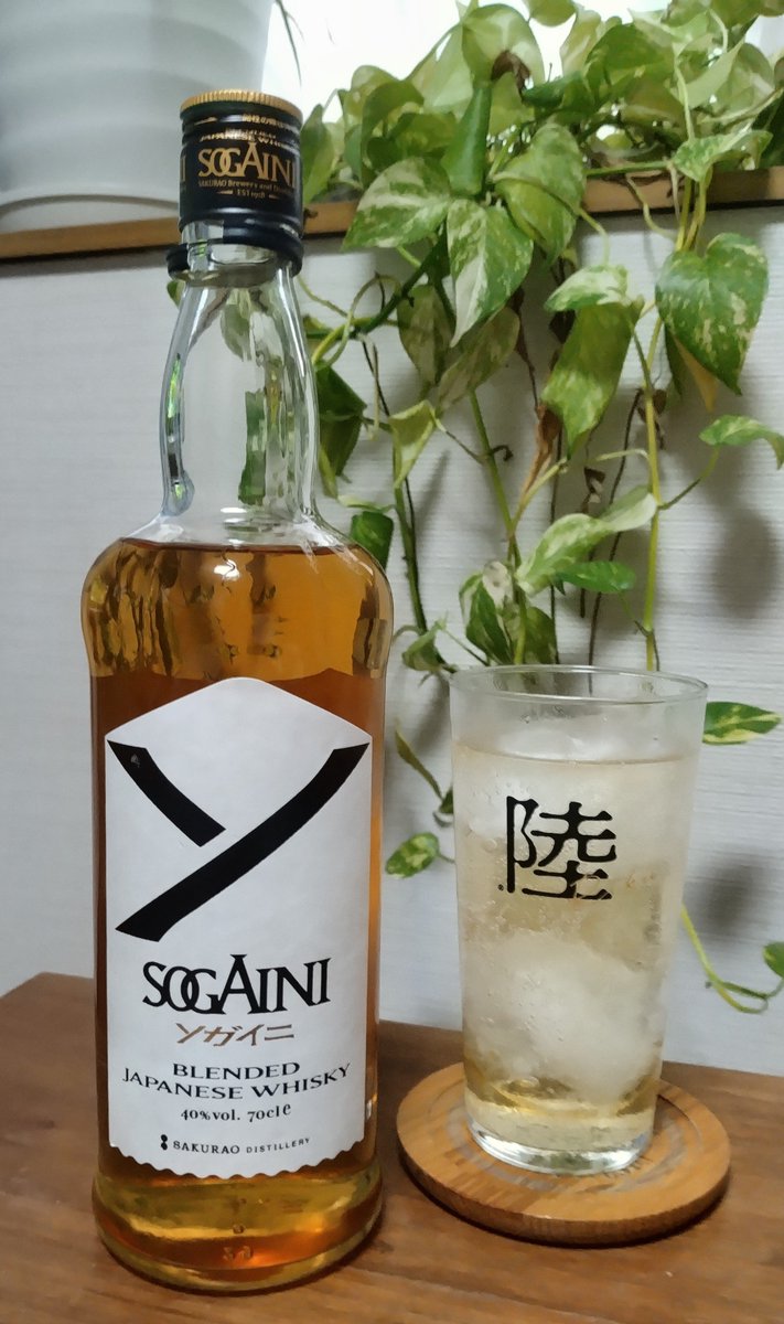 alcoooooooohol's tweet photo. 今日は、ソガイニのハイボールで乾杯。 https://t.co/YhOBI7bgVO