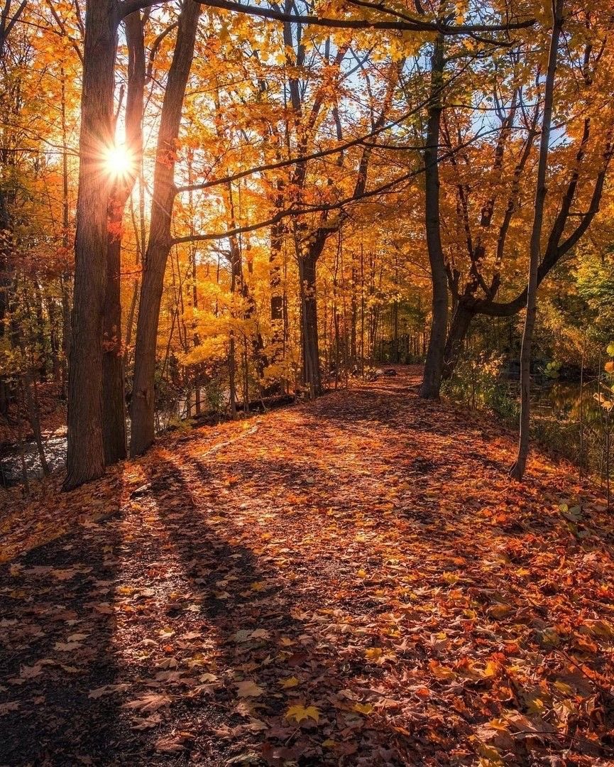 NurseLJohn707's tweet photo. Happy Monday and New Week. Happy Thanksgiving to all celebrating today. May your day be filled with love, kindness, and laughter with family and friends. https://t.co/P875t4FM7d