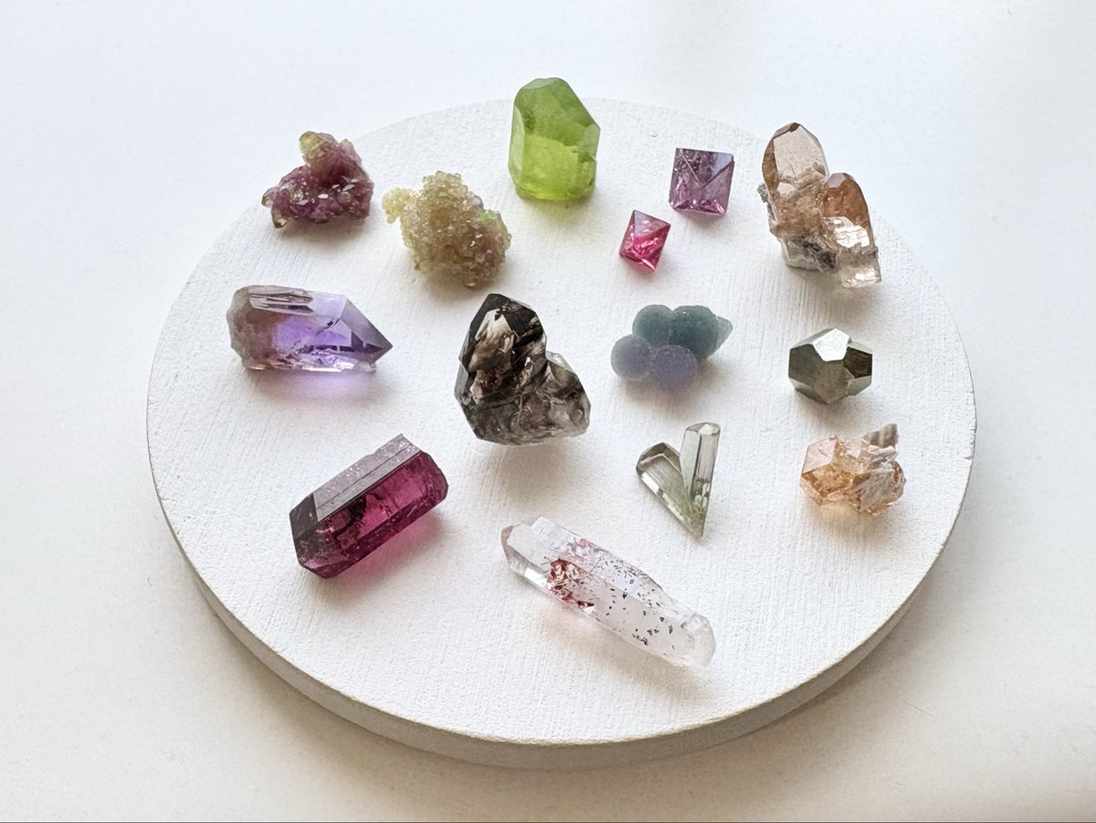 floravol_mnrls's tweet photo. ちっちゃいものクラブ
おーたむこれくしょん🍁🍠🍇 https://t.co/RbPpN5Gjf2