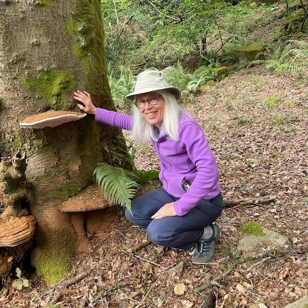 SciCocktailsCPH's tweet photo. Our next guest speaker is the woman who knows more about fungi than fungi probably know about themselves... Prof. Lynne Boddy!
@FungusProf,@cardiffuni. Get your tickets for the event on November 10, the Grey Hall, here: https://t.co/p65uhxnsFe #event #talk #science #CPH https://t.co/DrNCPh3eRB