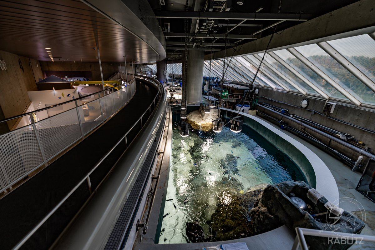 tan_sui_kabutz's tweet photo. こんな水族館が年パス2800円だなんて…信じられん https://t.co/0cMPSUDZQw