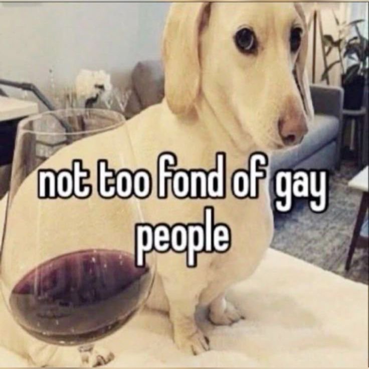 nottreallyemmaa's tweet photo. @wearesorrycarol Larping homophobia https://t.co/b6tNTDJNLx
