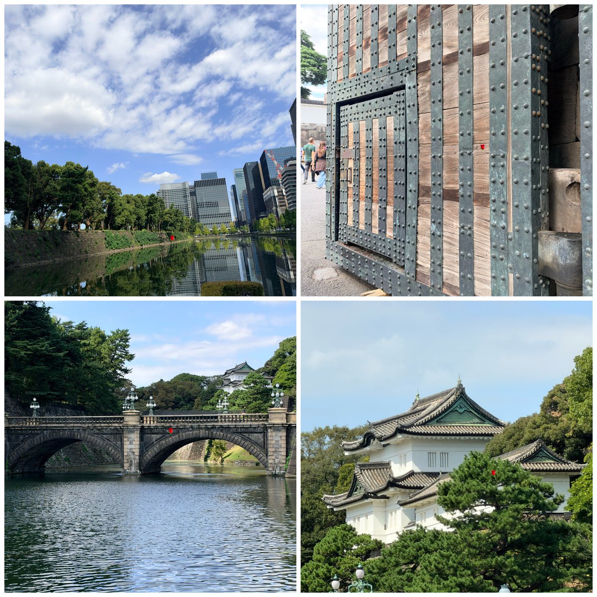 Aimee22026's tweet photo. Wishing all my Canadian friends a Happy Thanksgiving from Japan 🇯🇵.🙏🥰My 📸
Be grateful in your own hearts
That suffices.
Thanksgiving has wings,
and flies to its right destination.”
~ Victor Hugo https://t.co/GuiZb6EChn