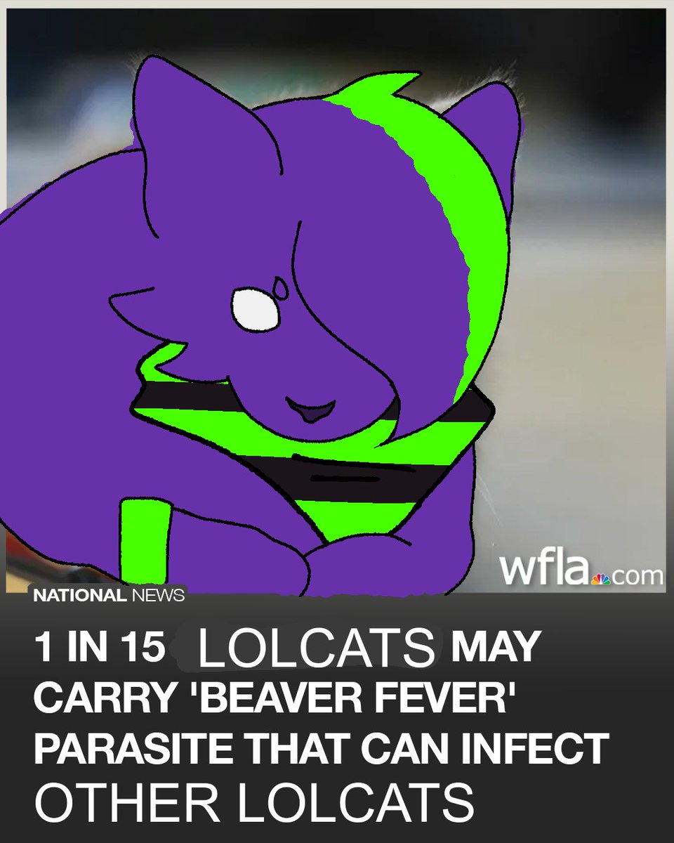 thereallifenyan's tweet photo. nyan be careful guys
#pursuitcore https://t.co/2l1wtv4TNO