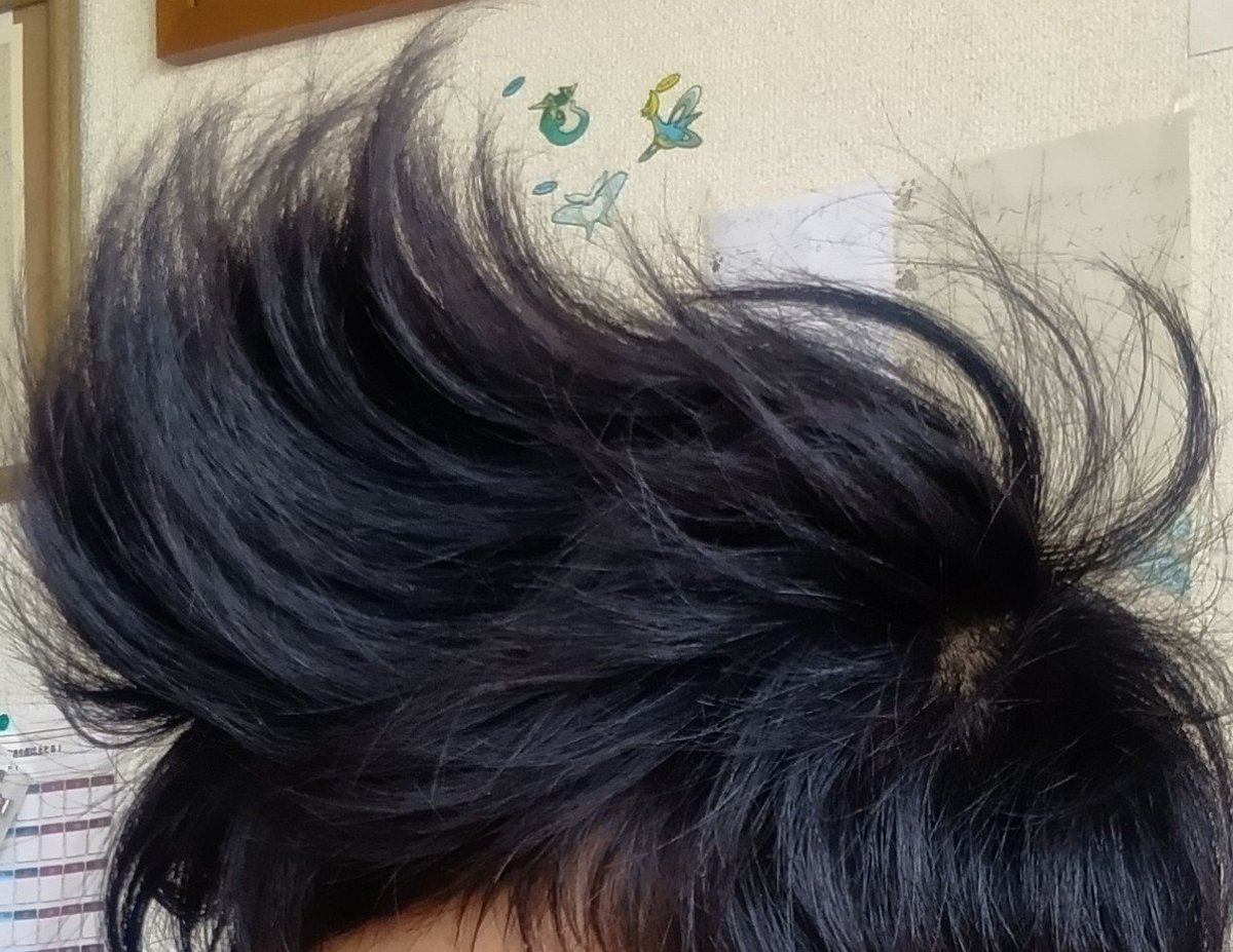 maiko_satsuki's tweet photo. かぞくのねぐせ https://t.co/vPhEHn9Muy