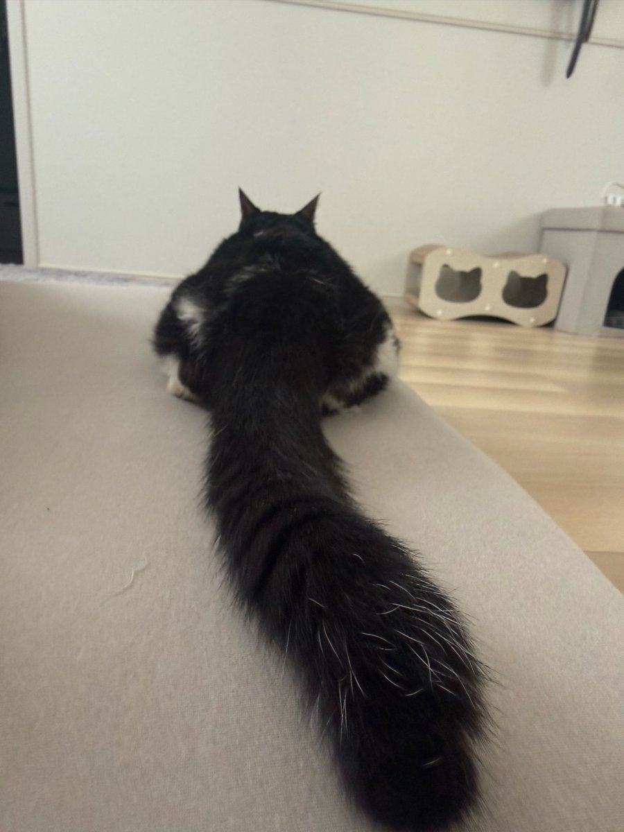 Orange04061154's tweet photo. 本日も胸水を抜くために朝から病院へ🏥

粘度質なものが細かく部屋を作ってしまっているので、毎回先生がたくさん溜まっていて針が刺せそうな場所を慎重にみてくださり、抜去しています。

２日前に抜いたばかりですが今日は133mlも抜きました💦ｶﾞﾝﾊﾞﾚ‼︎ https://t.co/v8ZtqnDSGp